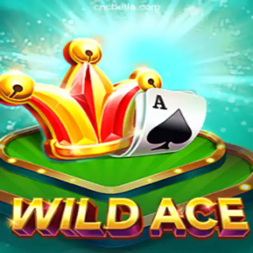 Exploring the Thrilling World of WildAce: Brazil's Premier Online Casino Experience